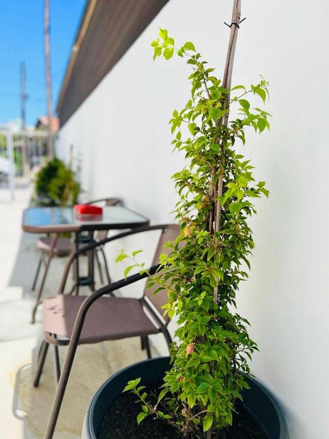 Cozy And Traditional - Ec Studios Larnaca Exterior photo